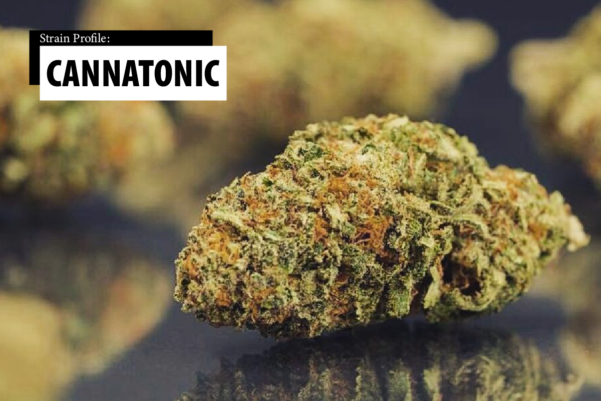 Strain Profile Cannatonic — Greenway Magazine 4054