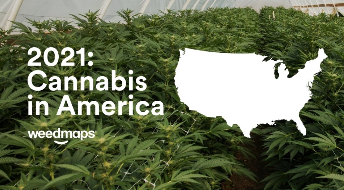 Weedmaps Releases First Data & Insights Report: Cannabis In America ...