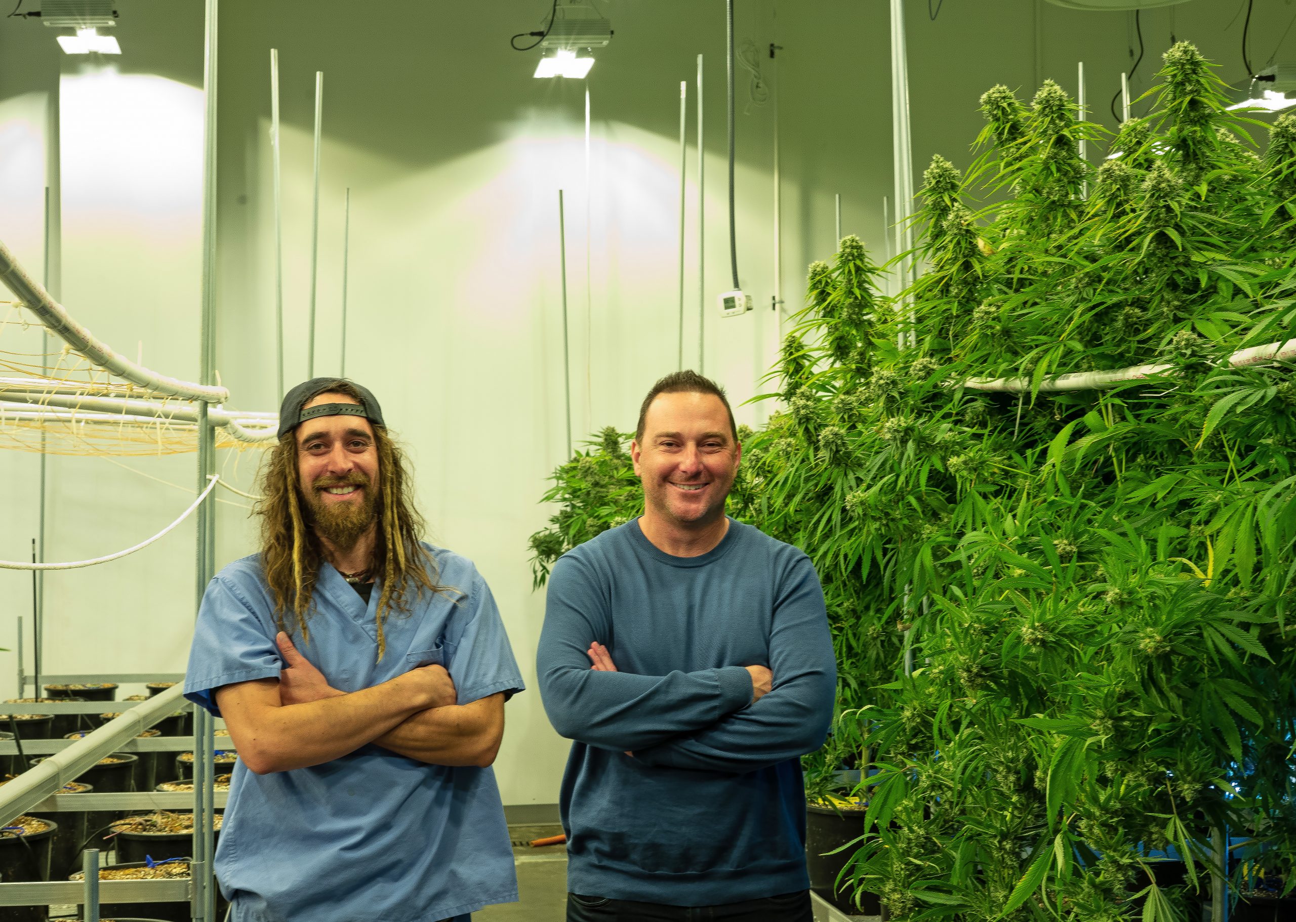 Elevate MO prepares for adult use in Missouri on February 6 — Greenway