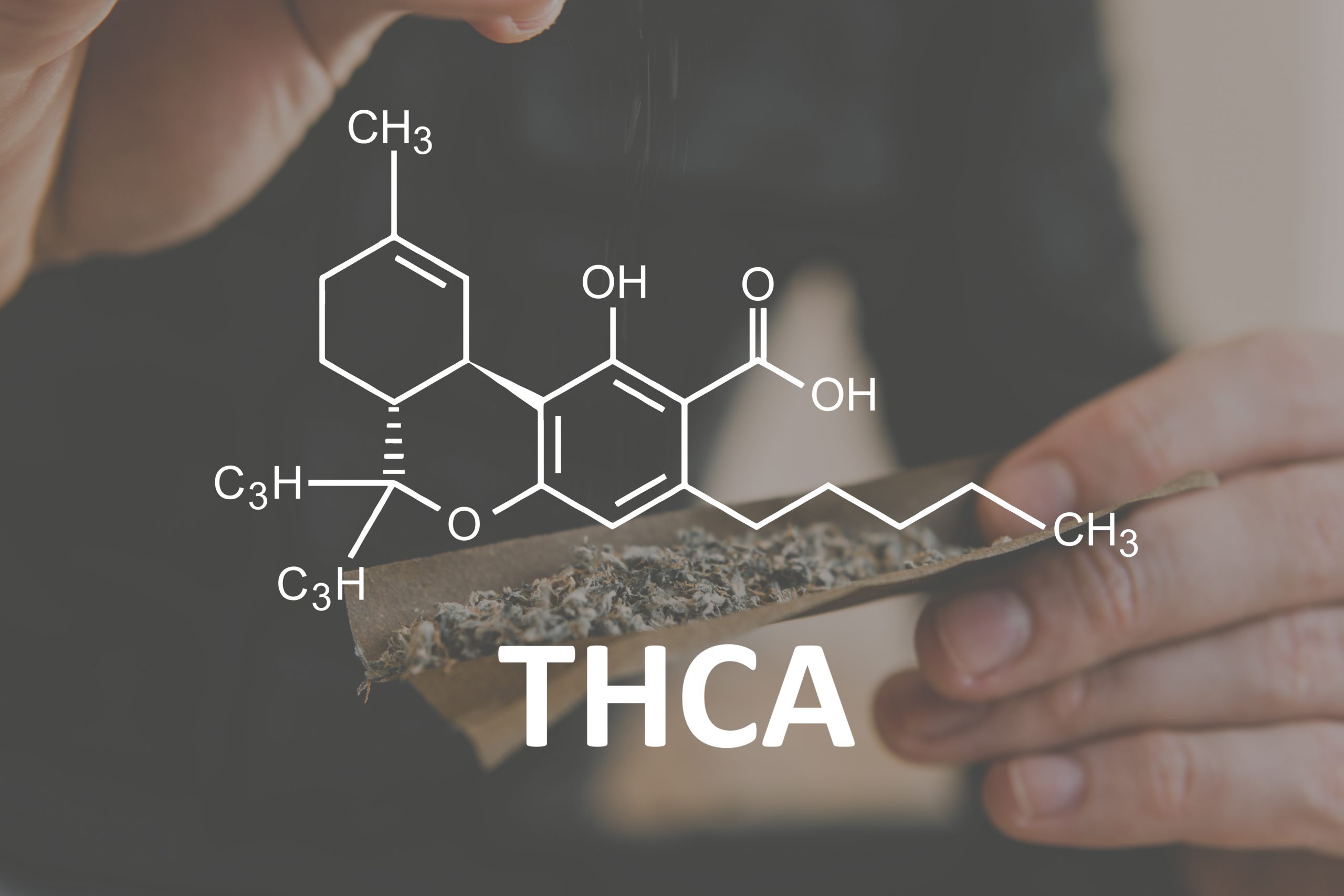 Behind The Label: THC Vs THCa — Greenway Magazine