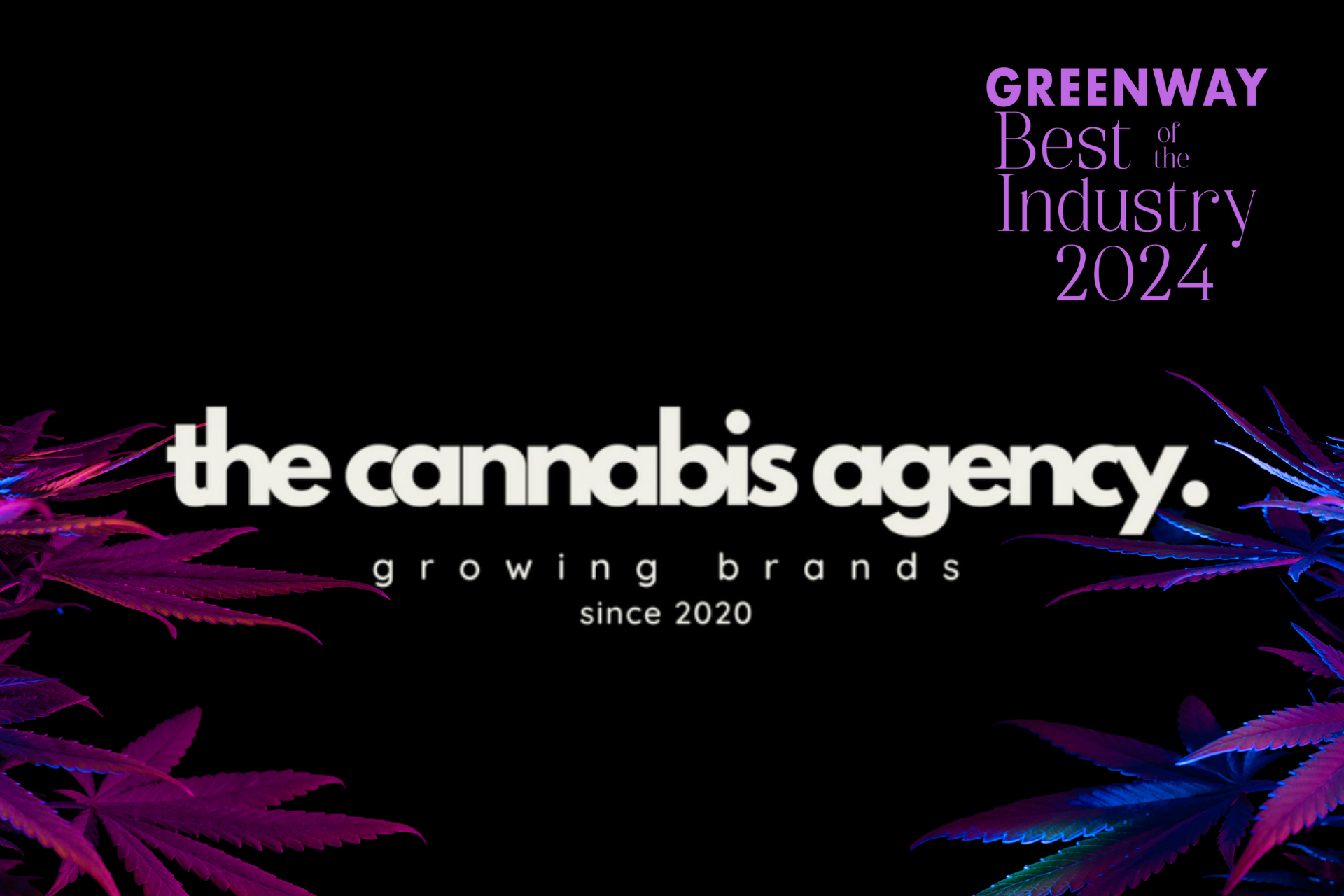 The Cannabis Agency Recognized As Best Of The Industry — Greenway Magazine