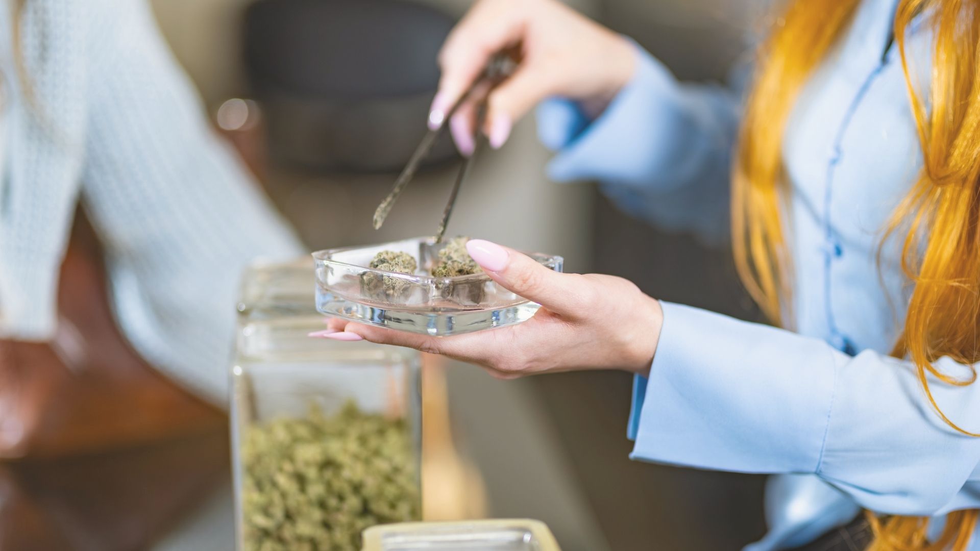 Refunds on the way as regulators reset RI’s cannabis retail licensing process